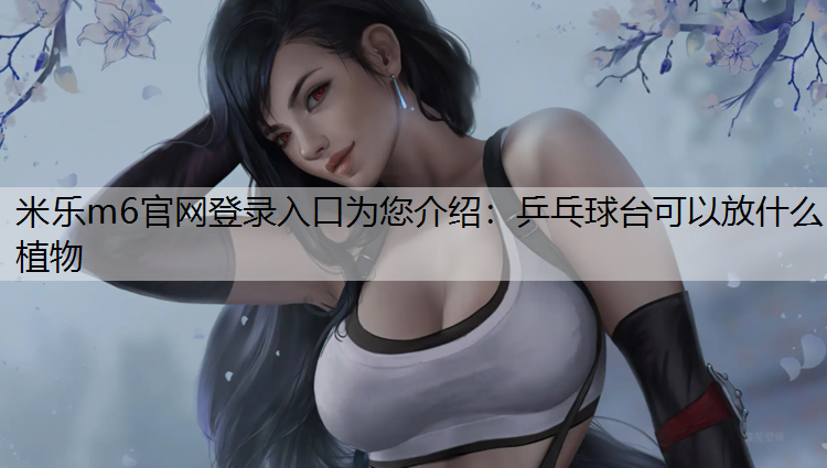 乒乓球台可以放什么植物
