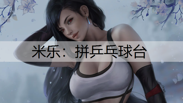 拼乒乓球台 拼乒乓球台